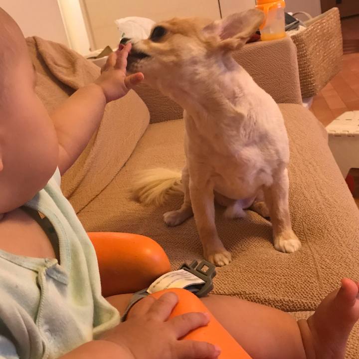 B0eff8fd 3b28 42e1 90e5 afc3d294e6b7 1527329301452