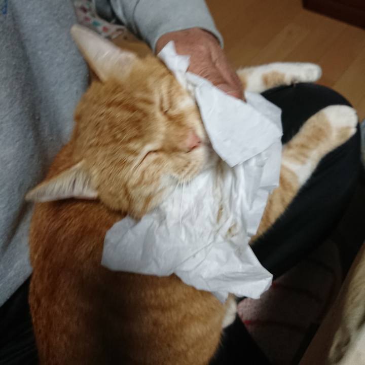 B0f0011b 1746 4937 a8aa 9457516ed1d2 1603657735177