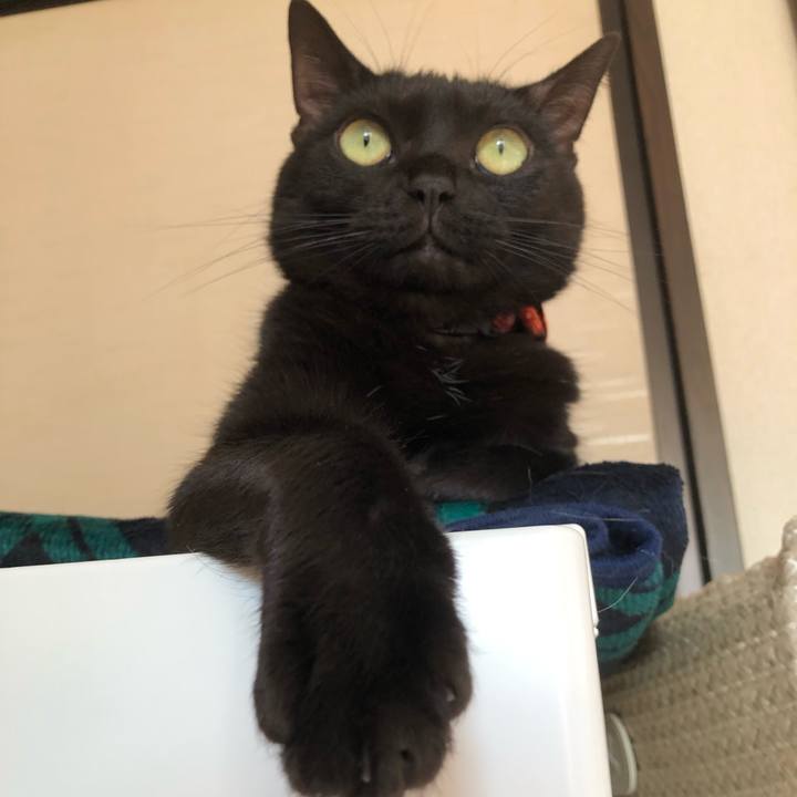 B0f01b0e b78c 44f6 97b3 b385d8267c64 1552621427555