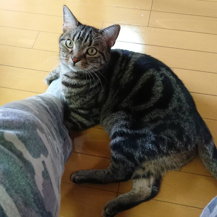 B0f0269d 6158 48ab a507 e9a7d9a31fd1 1550529329484