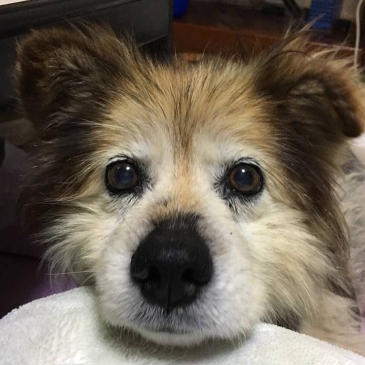 B0f03bd2 cc60 4f31 857d 7db37823b32d 1615959013309