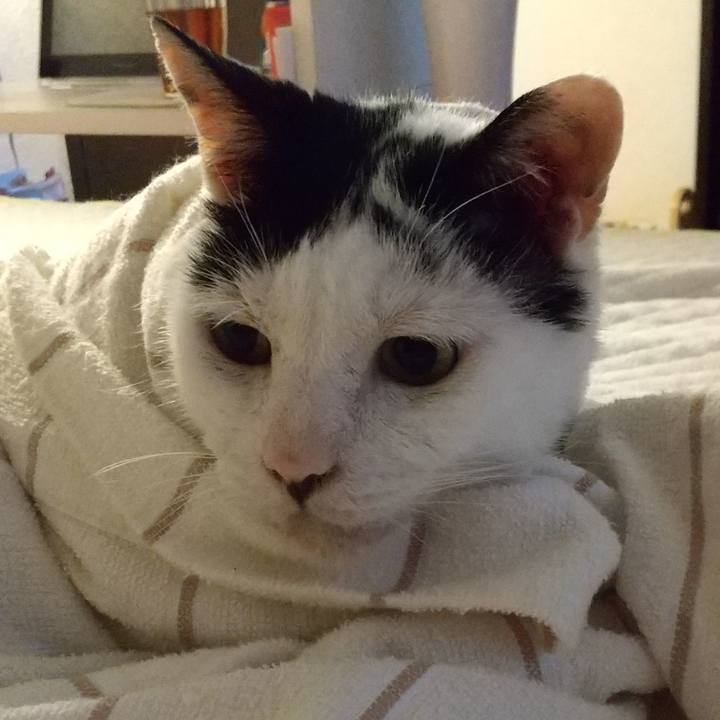 B0f08c1d 6270 45be ac7d 8cd997016d72 1692361901708