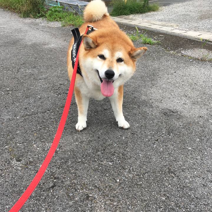 B0f09384 1fbf 4ef9 9b1f f682617f6186 1595903071099