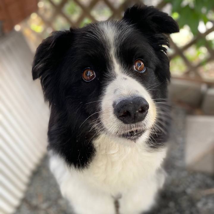 B0f0becd d70a 47e9 bc7b 2d6c3345e707 1722241298282