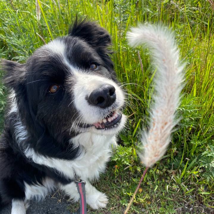 B0f0c02c 3d08 4a6d 8e7e 9f3d24da5a21 1620517575299