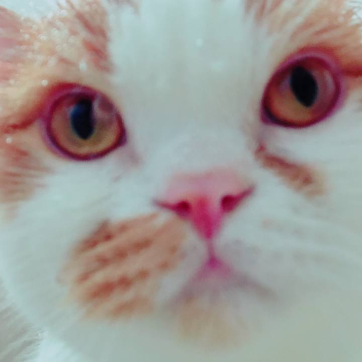 B0f0c8c0 fd8e 4c35 a92b 2a1f7d036e68 1510447714617