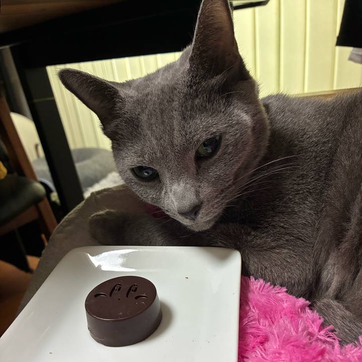 B0f0e823 be91 4c34 989c b39c17d688fa 1773456814056