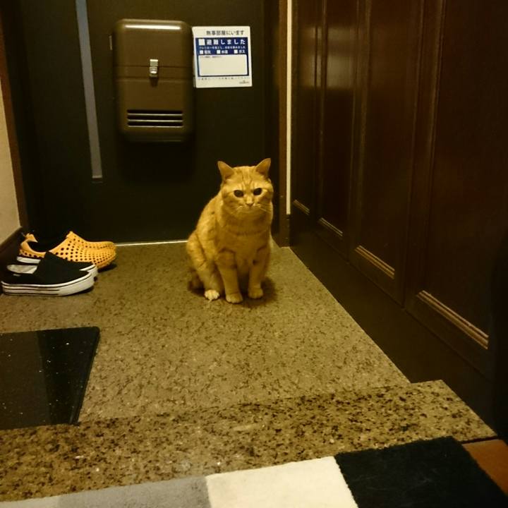 B0f10208 af56 4b44 8620 7adb636564c8 1529421419341