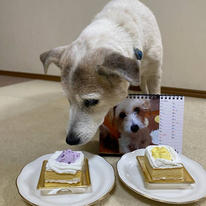 B0f11bbe 656c 4abd 89e6 8454abf7812b 1709208650497