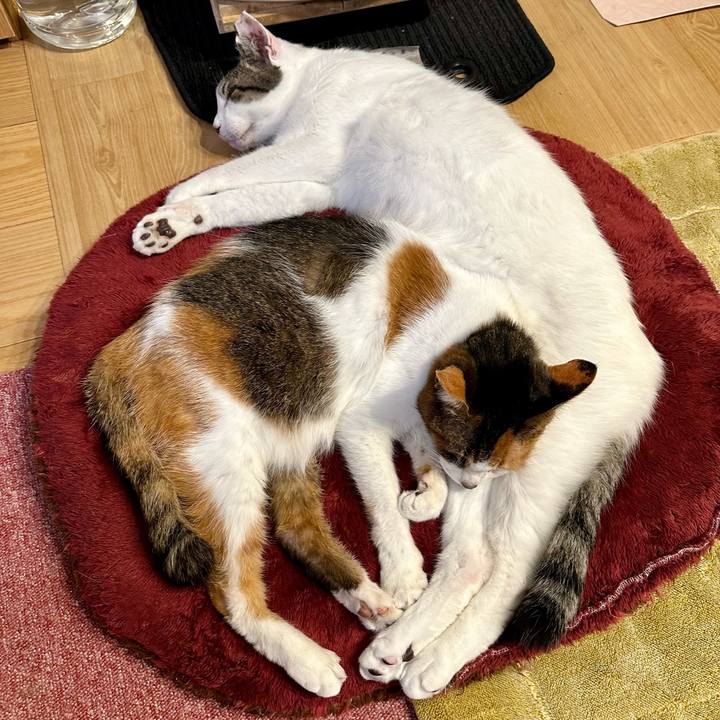 B0f15396 88e8 40c3 b0f5 8eac6cd623e9 1704712400452