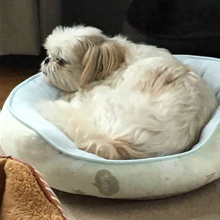 B0f17a4d d0b0 4e07 9af6 7fc9c44c1dc4 1600574442936