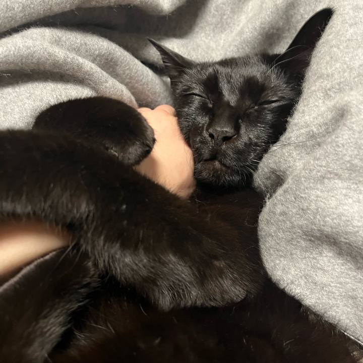 B0f183a3 2243 4410 a3f2 5d0f56491659 1736164894481