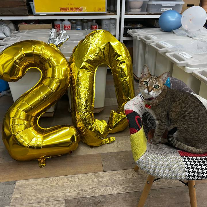 B0f1dcd8 2a90 42d0 947d 74e26cf7db21 1772539270984