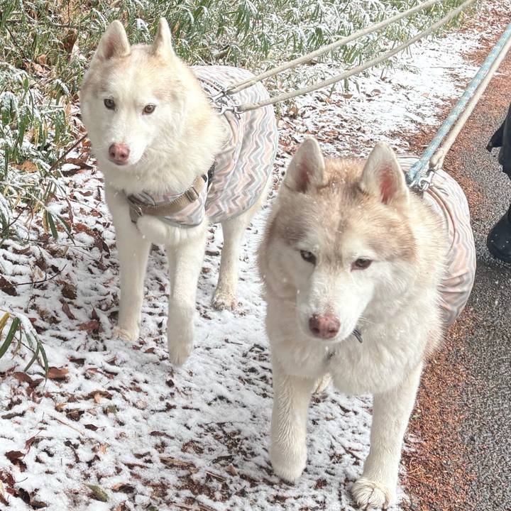 B0f1e277 14b7 4ce2 bb7d 5ee412f48325 1770443887723