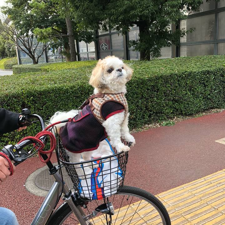 B0f1f11a 5ad8 4f2b af91 3d5f163e3006 1521939341548