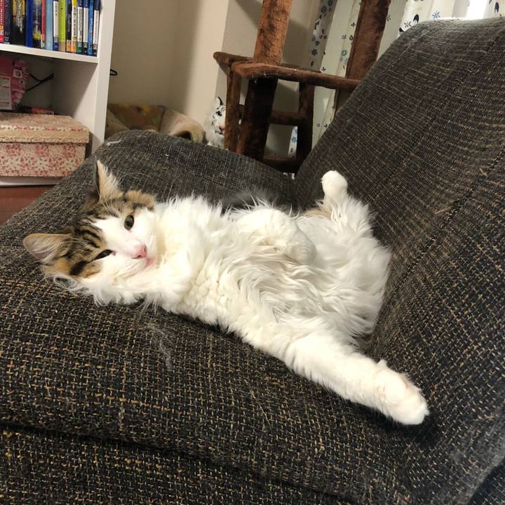 B0f1f7bd 3799 40a0 837a 3fe0aeaa8962 1541391260402