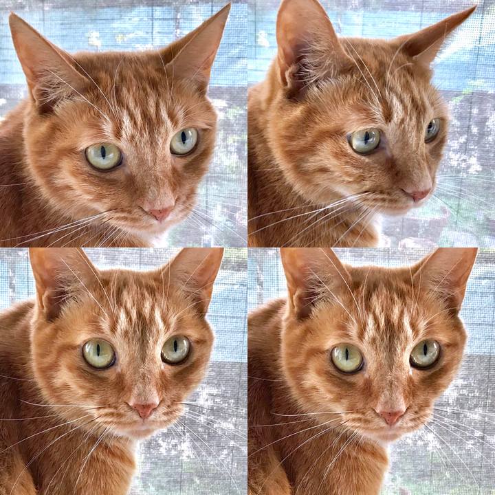 B0f2171d e8d8 414a 8ecd 726af2274be5 1555897165982