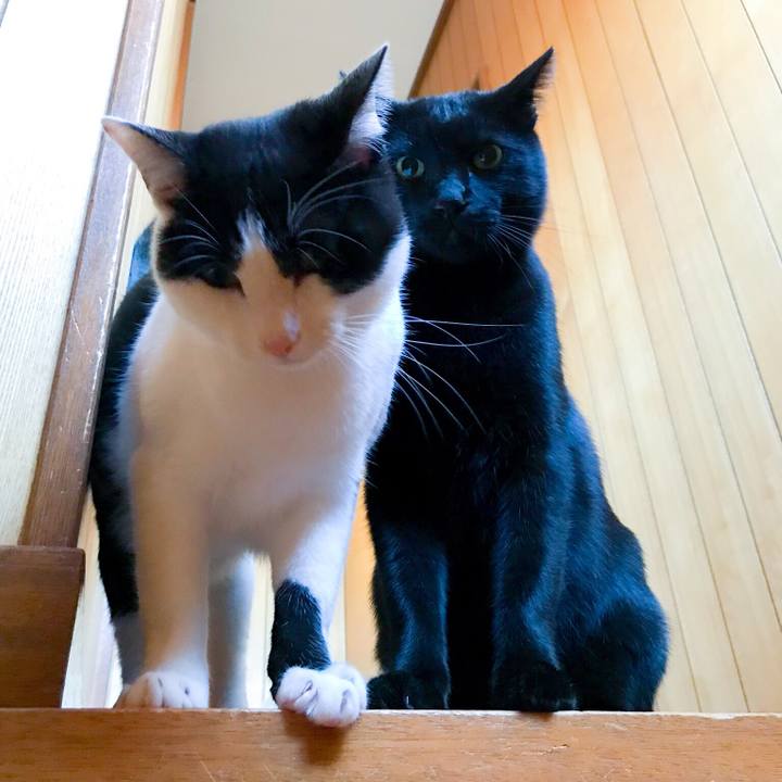 B0f22dd1 15cb 4190 9fd4 80e60b168293 1510968877914