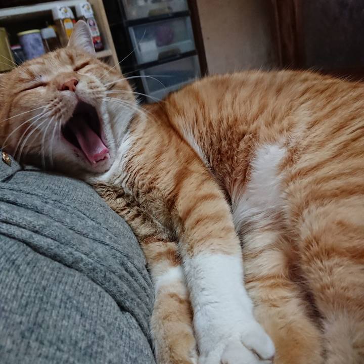 B0f231c7 6410 4097 9e9e 1aa05156c8a5 1576390416314