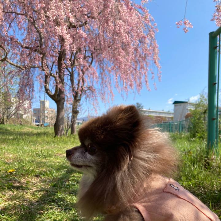 B0f27bb1 a0c2 4ab7 9250 630ad481fb49 1682566816588