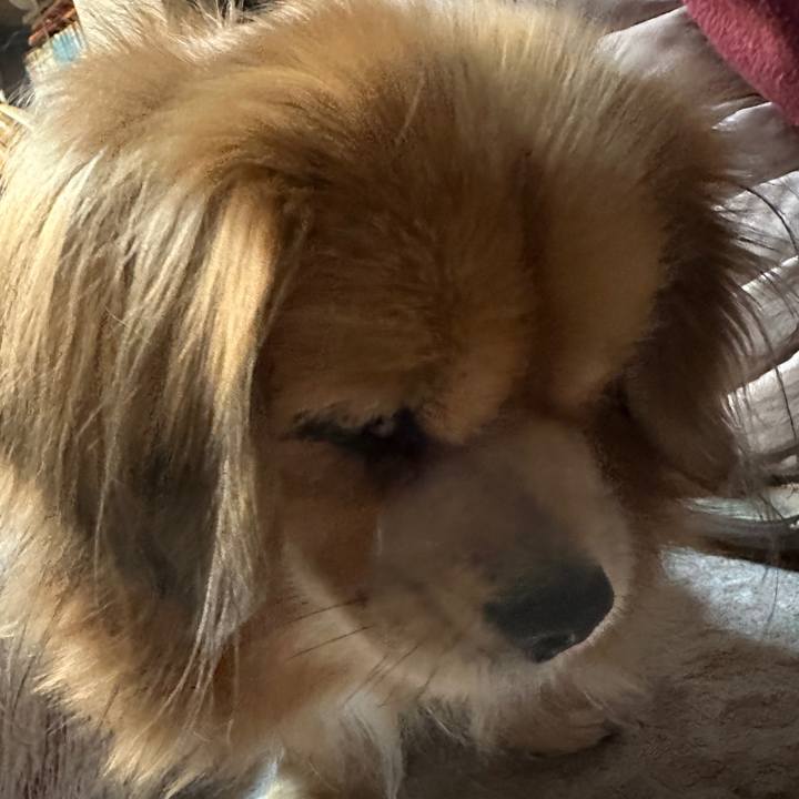 B0f281dc e7f4 4d27 871c 717cf02d5f6a 1705035367318