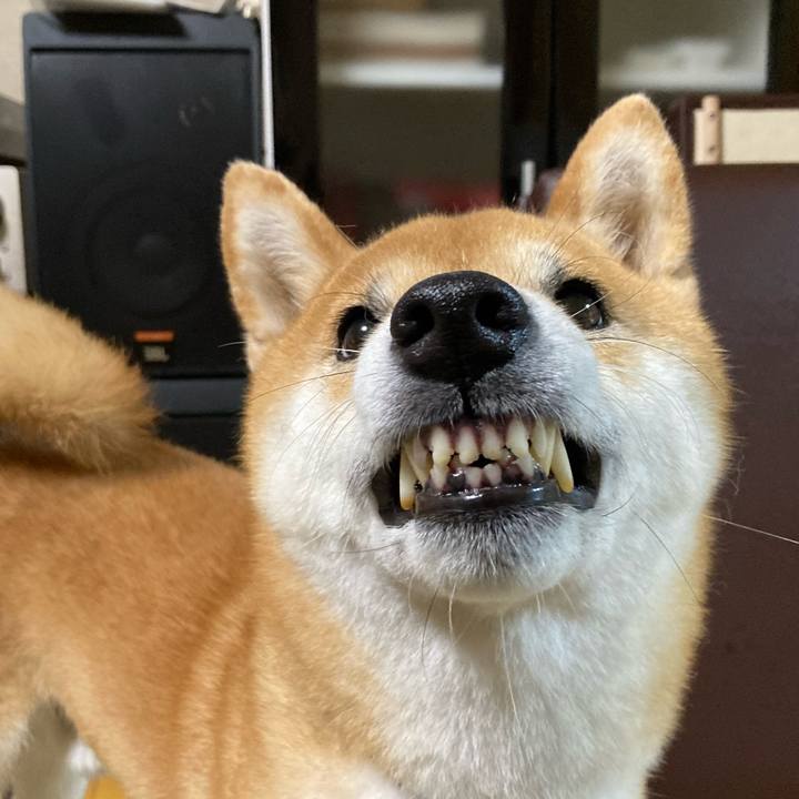 B0f2acfd 0f68 4551 9db8 624883c9977a 1658478752085