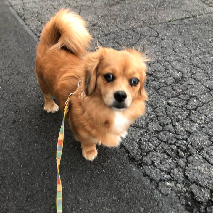 B0f2e674 0777 441e 9ee9 73db7c6c52f9 1509313689412