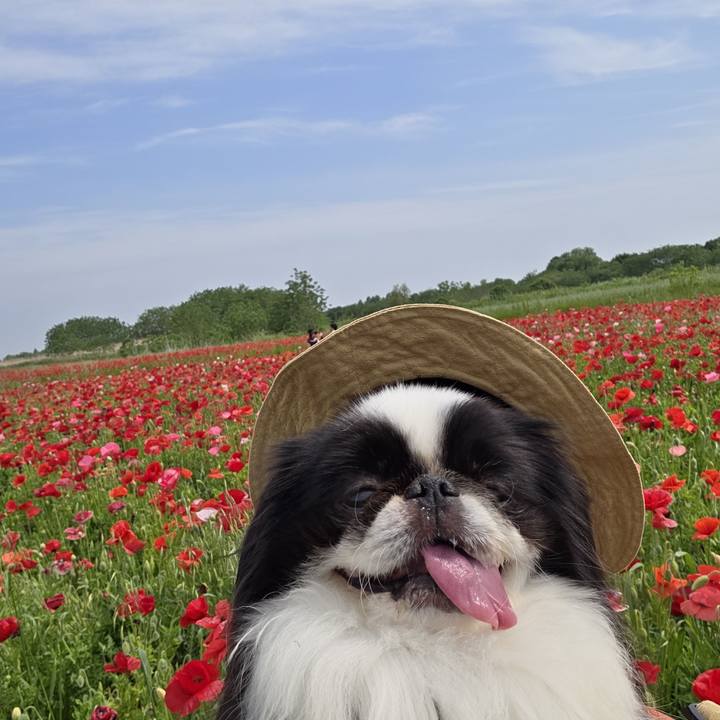 B0f31f4d b7f5 46d5 bfc9 c0053462130d 1747203890226