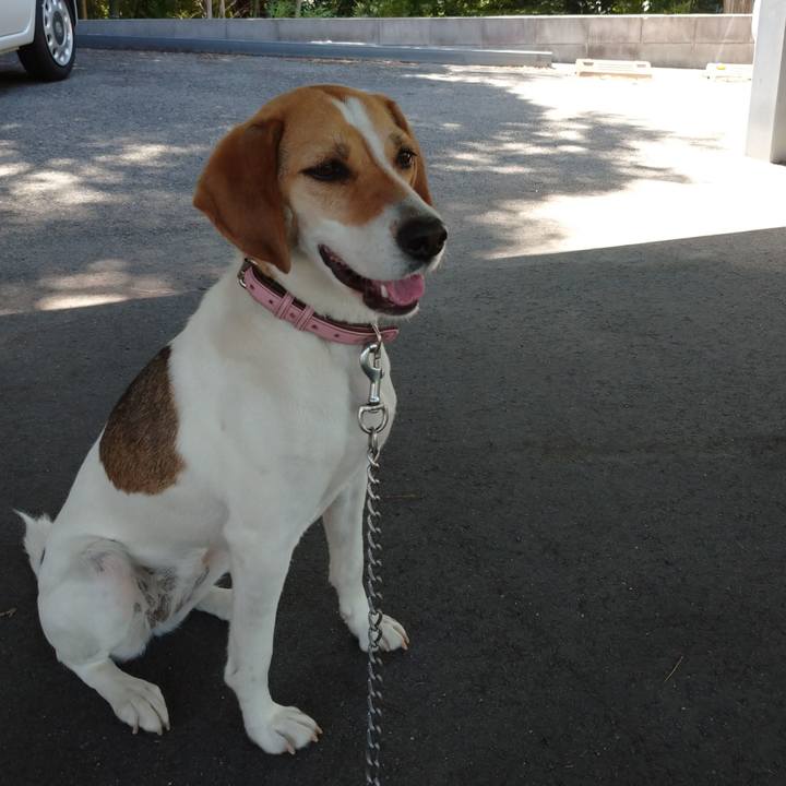 B0f32cdf 62d0 4095 920d 7f6a10d8fb7d 1592883096071