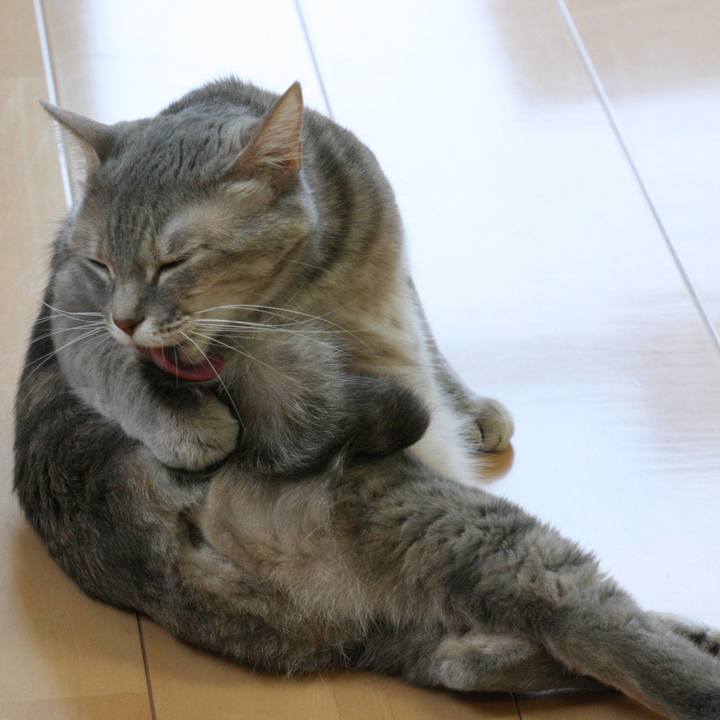 B0f33813 dfe1 4b75 aa9d 29efbb91d615 1521161940273