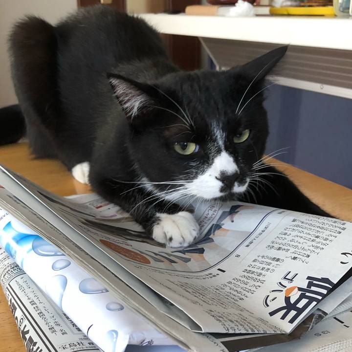 B0f341bc de30 4784 9f9e b93891addaf9 1528343153046