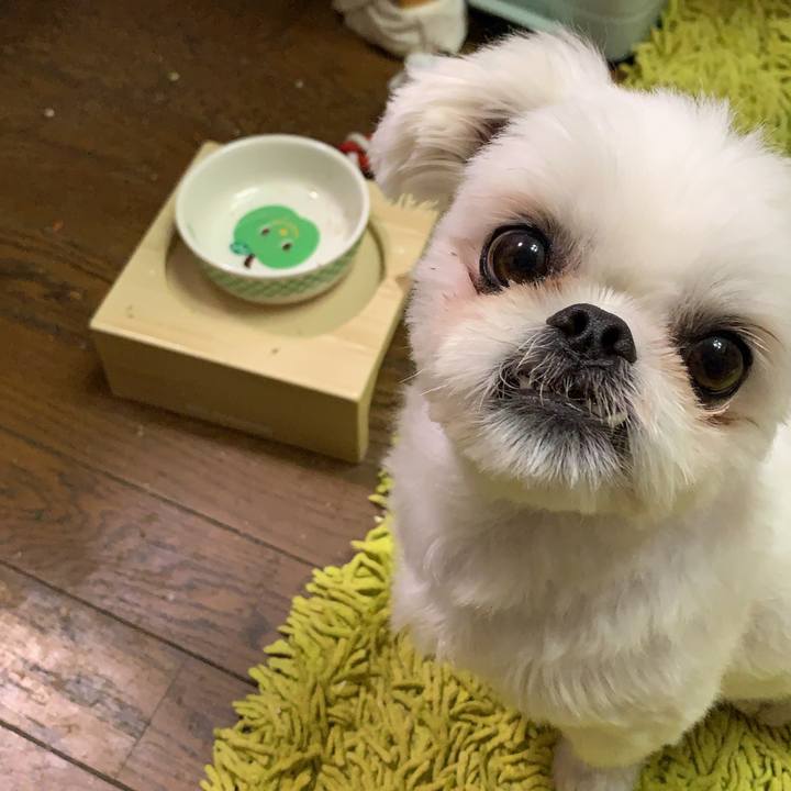 B0f344c8 ae37 43b4 9c50 943efbf34a0f 1693721182429