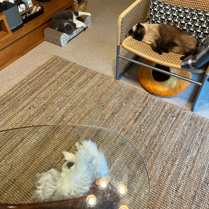 B0f34987 cfcf 424e baa4 c878703c93be 1655614416800