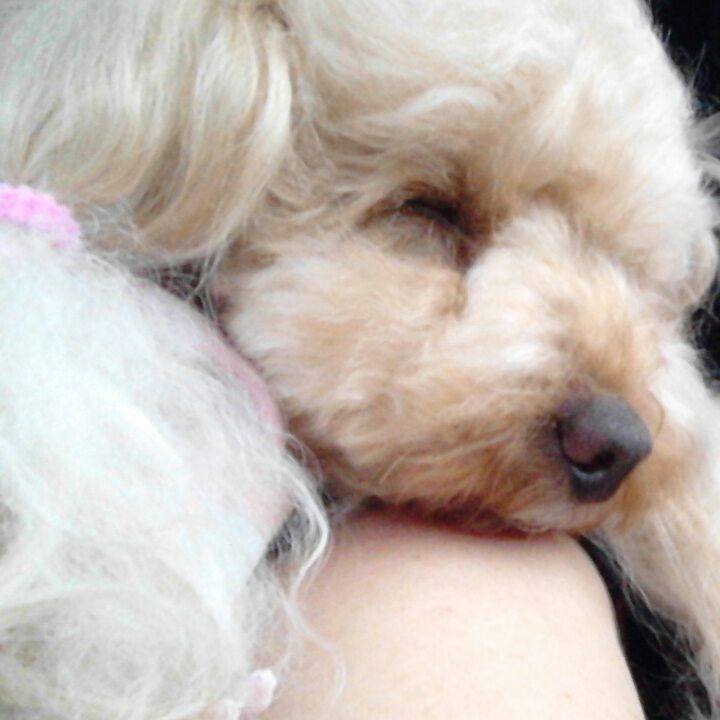 B0f34a8d 0b87 4e02 b195 ddc0e40d0c4b 1531055286866