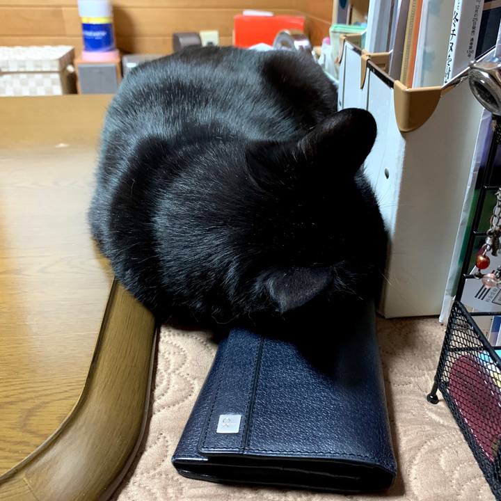 B0f35db3 cafb 400a b06a 955dd50ef11b 1581341597163