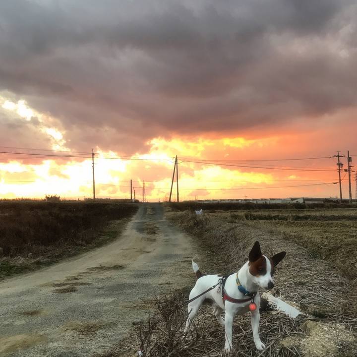 B0f371e5 04a0 4fd5 b47b f793b9d9a054 1512987105144