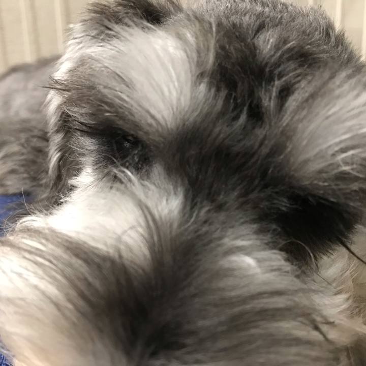 B0f38bc3 9684 437e acd8 74a9067684aa 1566149495632