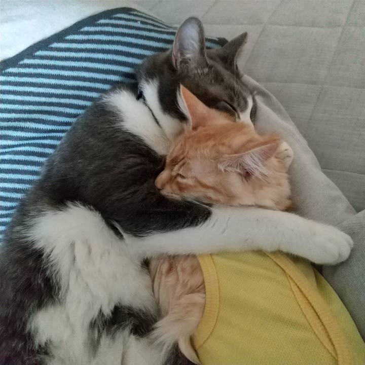 B0f3b4df 4256 49a6 879d 7143575385f8 1614987318128