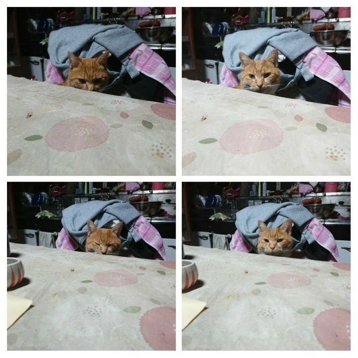 B0f41666 adbe 439f b9da 9f9c8702506b 1606249753689