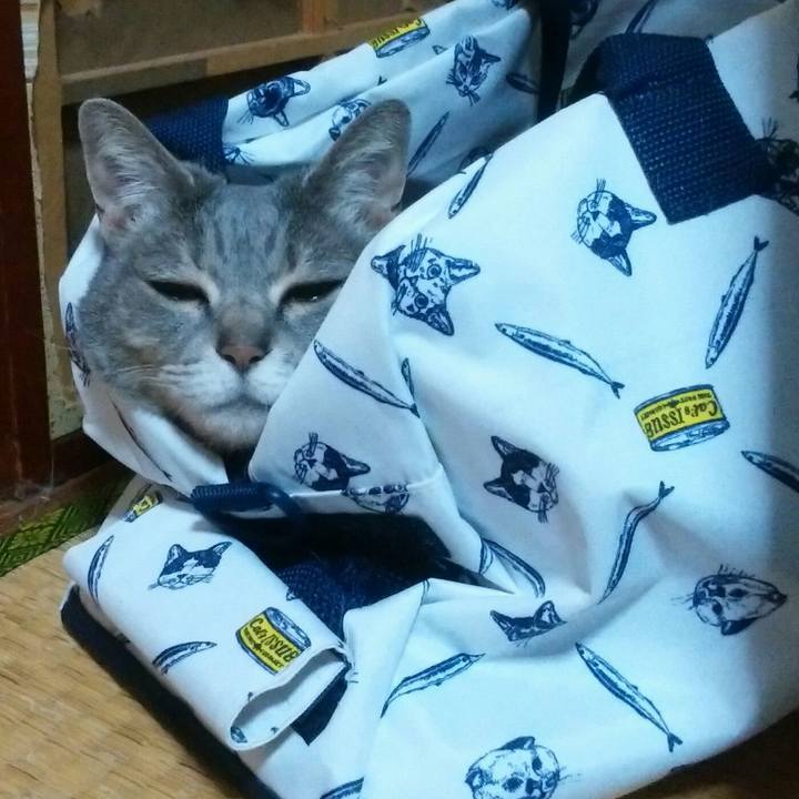 B0f4225b f7ba 4c94 abda 883368a69e0c 1526064351523