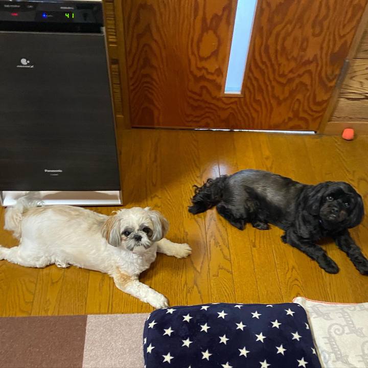 B0f42f67 eba9 4cf0 bc79 54f544a49e8e 1664889369047