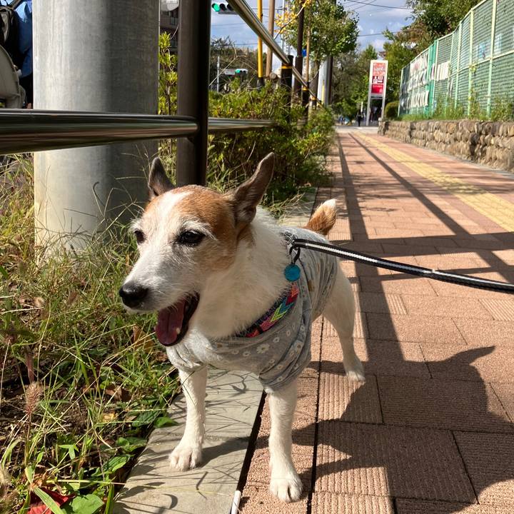 B0f431bd 455a 4970 b615 beac8d43eeb9 1697849217411