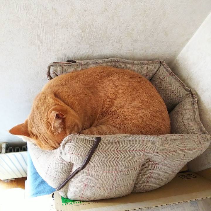 B0f463e1 a481 465c b7d1 fee6d063a8ae 1597373385691