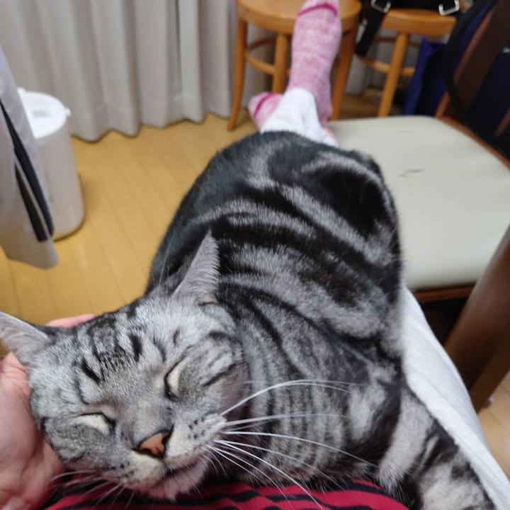 B0f48cda c929 4c4e a9f2 b5ff65591cfa 1640087492786