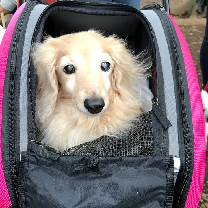 B0f4a411 bfb9 45d8 9917 f16f8f36a8cb 1509174234781