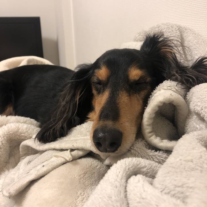 B0f4c3fa 5833 493a bc74 f708dbdce624 1583674347587