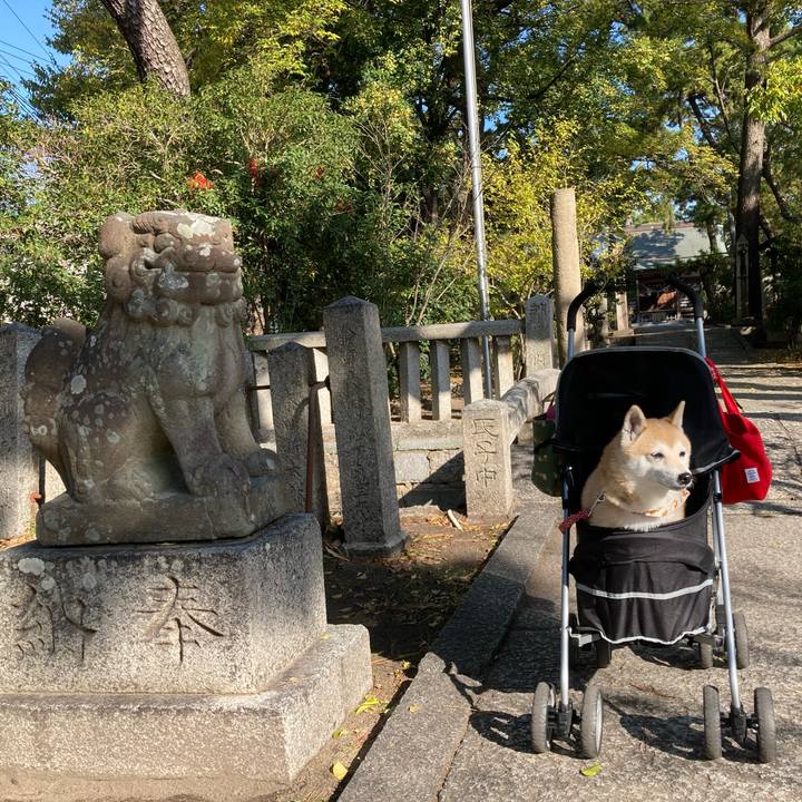 B0f50d70 cafd 4c74 bfbb 8ea2f423f4fd 1637146938795