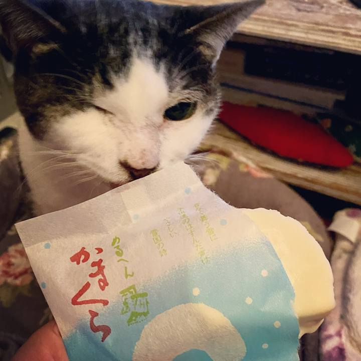 B0f52139 3ca1 4215 8ad1 40dae098b8a2 1638705304947