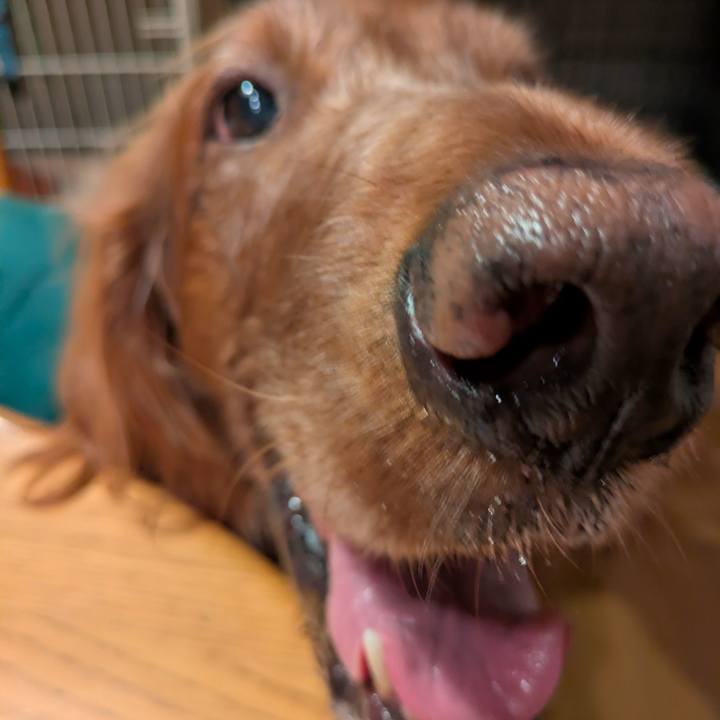 B0f538a0 5f9b 4dc1 b1fe 90eacb578a92 1777286247622