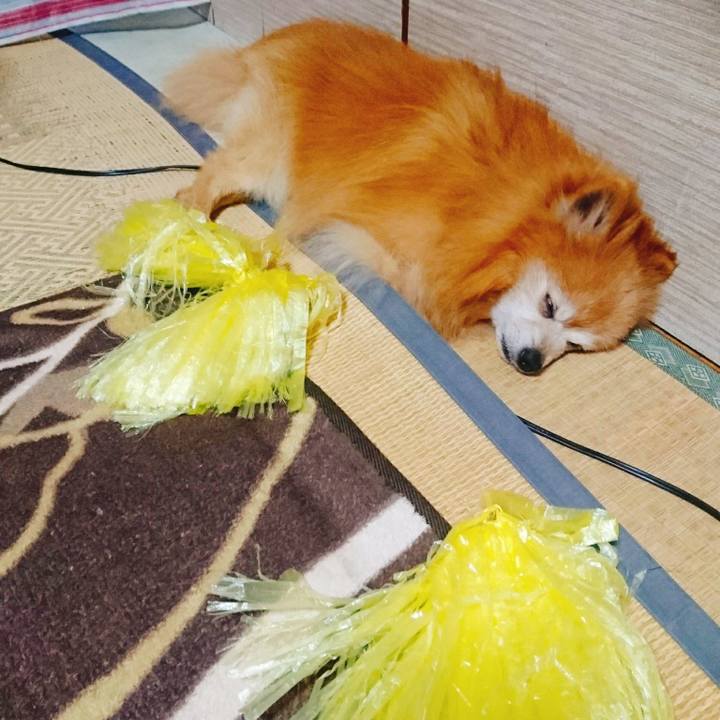 B0f541e9 fb32 4424 9586 c5ac2ca29a3e 1590321529349